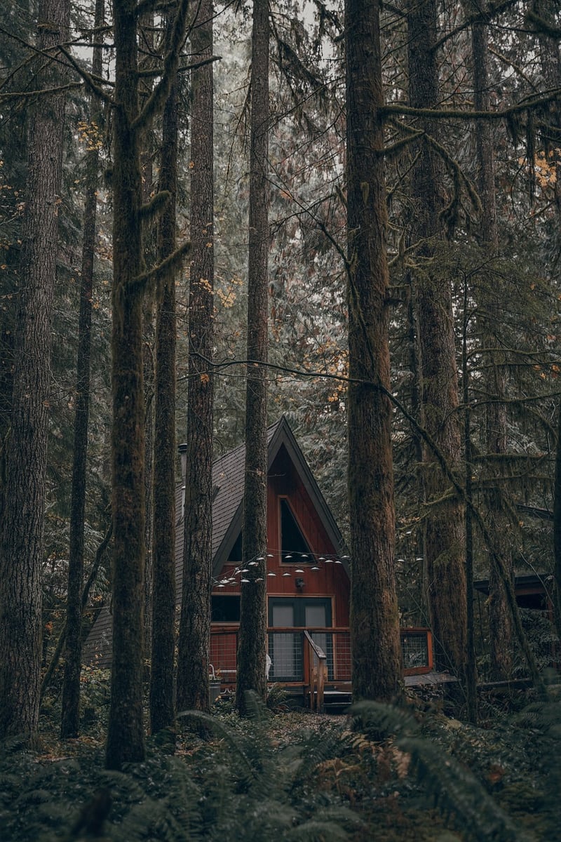 Woodland Retreat